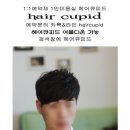 쉬크샵헤어 이미지