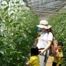 세윤농장 이미지