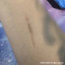 향기 | [서울/독산] 바다향기 후기 🐟🦐