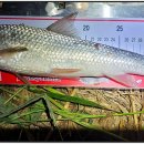 송산낚시 이미지