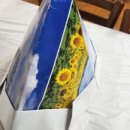 탐진신발