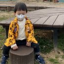 영산강대상근린공원 유아숲체험원 이미지