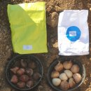 곰바우농장 이미지