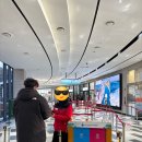 새롬카정비타운 | 삼악산 호수 케이블카 타고 정상 도착, 정상에서 산책길로 더 올라가본 후기