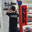 SH복싱체육관 네이버블로그