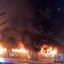 칠성로-2 이미지