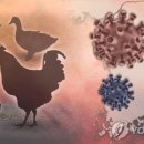 건수농장 이미지