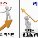 냥보스 이미지