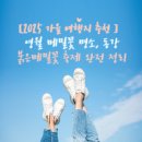 박가네 메밀막국수 | 가을에 꼭 가볼 영월 메밀꽃 명소, 동강 붉은메밀꽃 축제 완전 정리