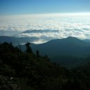 카페1915지리산