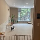 름자펫살롱 이미지