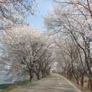 고내천변로 네이버블로그