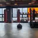 용인대SH복싱 이미지