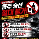 제주 한치낚시 후기｜초보도 생각보다 많이 잡은 6월 조황 이야기