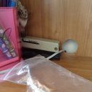 수완종합동물병원 이미지