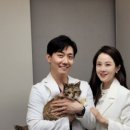 건강하게동물병원 이미지