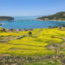 들길봄동 이미지