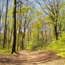 파랑새부동산공인중개사사무소 이미지