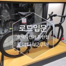 도마니 | 트렉 바이시클 동탄점에서, 로드 입문 자전거 도마니 AL2 그레이 구매 후기