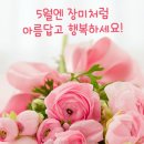 부화용 청계알 구합니다 이미지