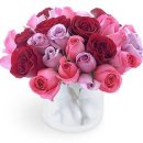 나른한 오후의 목욕 이미지