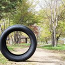 W 타이어 이미지