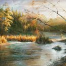 가을 숲으로 가자 이미지