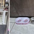 김수영 동물병원 이미지