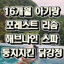16개월 아기랑 제천 포레스트 리솜 1박 2일: 1일차 (해브나인 웰니스 스파, 둥지치킨 닭강정)