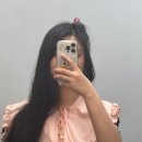 핑크언니PET샵 | 동대문 답십리 개인 맞춤 헤메 드레스 투어 메이크업[강남언니샵] 솔직후기