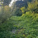 더나농장 이미지