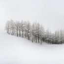 산하목장 이미지