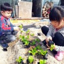 건하농장 이미지