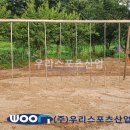 효촌초등학교 이미지