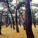 황성공원 풋살구장 이미지