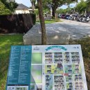 성촌식당 이미지