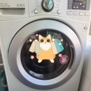 모터워시 앞 이미지