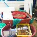 강바다횟집 이미지