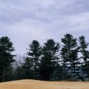 월송리CC OUT 코스 이미지