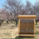 약산가 네이버블로그