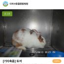 관악동물종합병원 이미지