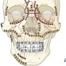 바른턱얼굴치과의원 이미지