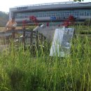 금왕읍사무소 이미지