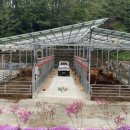 황고개농장 이미지