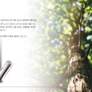 유타천안