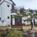 칠곡 분위기좋은 펜션 후기! &#34;황학산비채숲펜션&#34;
