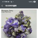 베니스PC 이미지