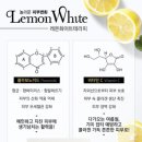 화이트테라피