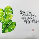 플러스펜 수채 캘리그라피 이미지