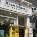 시드블룸 이미지